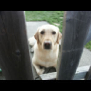 Meet your Posher, Leigh